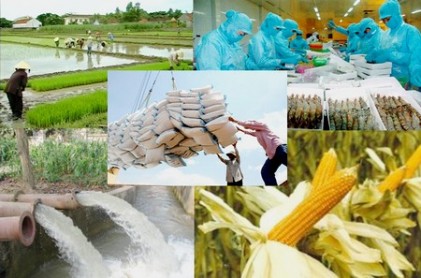 Chính sách tín dụng mới phục vụ phát triển nông nghiệp