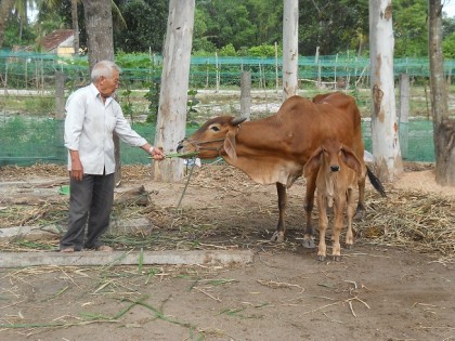 Ông Trần Đình Tú làm kinh tế giỏi, tâm huyết với công tác Hội