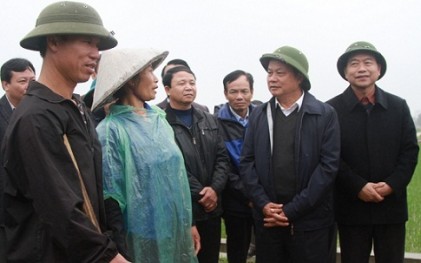 Bí thư Thành ủy Hà Nội kiểm tra tình hình sản xuất nông nghiệp tại thị xã Sơn Tây 