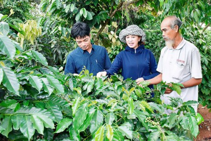 Người cao tuổi mẫu mực nêu gương