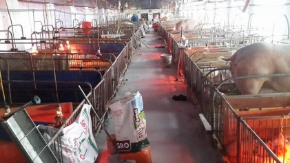 Người lính phát triển kinh tế giỏi trong thời bình