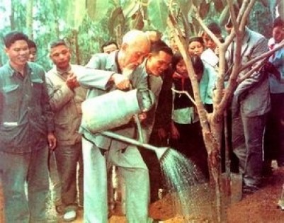 Tư tưởng lớn từ một phong tục mới 