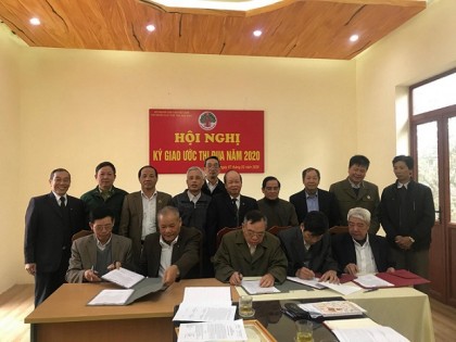 Tỉnh Hòa Bình: BĐD Hội NCT các huyện, thành phố ký giao ước thi đua năm 2020