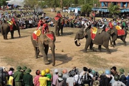 Lễ hội Văn hóa truyền thống các dân tộc huyện Buôn Đôn - Hội Voi Đắk Lắk 2014 