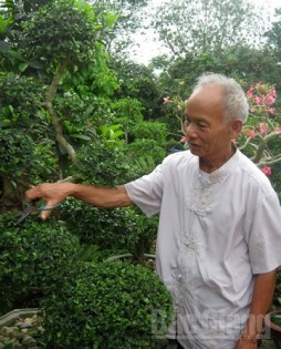 Người cao tuổi huyện Hiệp Hòa: Làm giàu trên quê hương