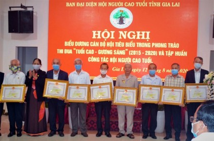 Tỉnh Gia Lai: Biểu dương cán bộ Hội Người cao tuổi tiêu biểu trong phong trào thi đua Tuổi cao - Gương sáng giai đoạn 2015 - 2020 
