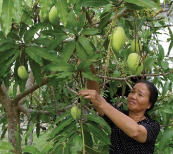 Người cao tuổi tỉnh Đắk Nông <P> Tích cực xây dựng nông thôn mới 