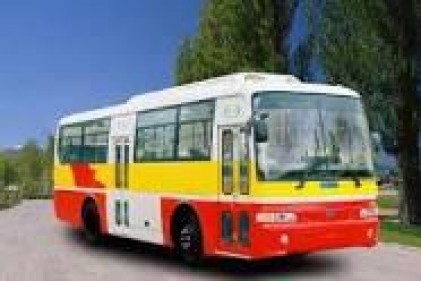Miễn phí vé xe buýt cho người cao tuổi
