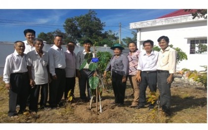 Ban Đại diện Hội NCT tỉnh Trà Vinh nhân giống Cây đa Tân trào tặng các địa phương, đơn vị trong tỉnh nhân dịp Xuân Ất Mùi năm 2015.