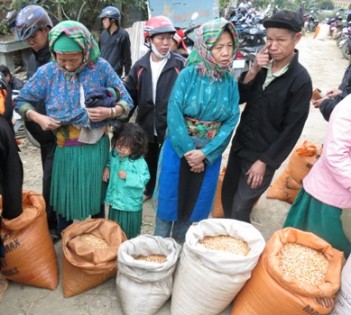 Phát triển thương mại miền núi, vùng sâu, vùng xa và hải đảo 
