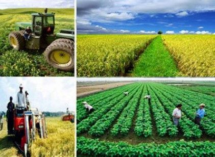 Điểm sáng trong xây dựng nông thôn mới ở Đắk Lắk 