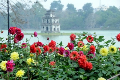 Cảm nghĩ bên thềm Xuân mới 