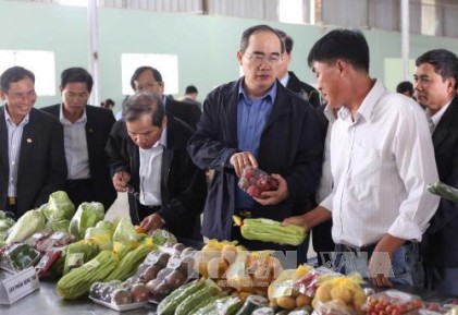 Đồng chí Nguyễn Thiện Nhân khảo sát về hoạt động kinh tế tập thể, kinh tế hợp tác tại Lâm Đồng 
