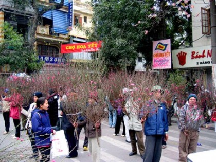 Hà Nội tổ chức 47 chợ hoa Xuân Giáp Ngọ 