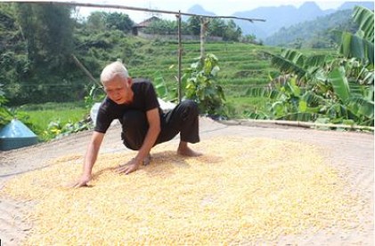 Phát huy vai trò NCT xây dựng nông thôn mới: Ghi nhận tại một xã điểm