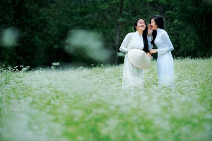 Mùa xuân mơ ước ấy đang đến
