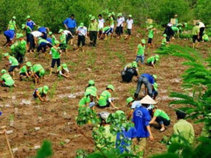 Bảo vệ và phát triển rừng ven biển ứng phó với biến đổi khí hậu