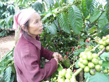 Cần phát huy sức mạnh người cao tuổi trong xây dựng nông thôn mới 