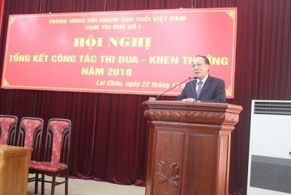 Cụm thi đua số I Hội NCT Việt Nam: Vượt  khó đạt kết quả toàn diện