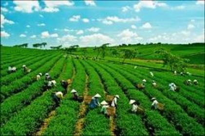 Kế hoạch hành động quốc gia về tăng trưởng xanh