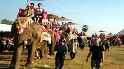 Độc đáo lễ hội voi của người dân Lào 
