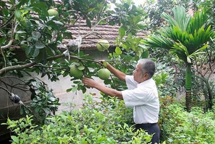 Huyện Yên Châu, tỉnh Sơn La: Những cán bộ Hội NCT năng động