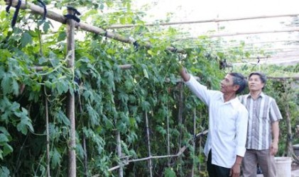 Yên Khánh tạo sức lan tỏa từ việc học tập sang làm theo gương Bác 