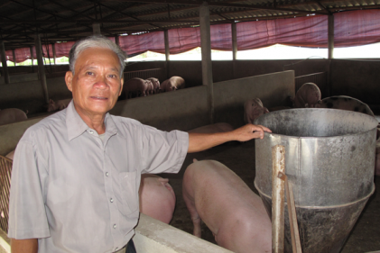 Lão nông giỏi việc nước, việc nhà
