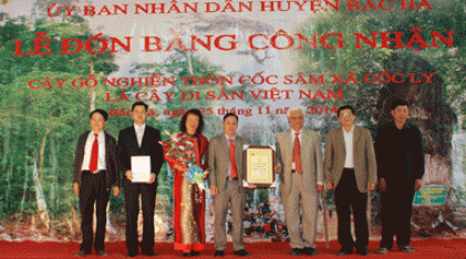 Cây di sản Việt Nam trên nghìn năm tuổi 