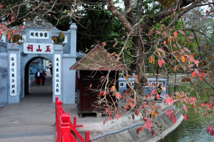 Sắc xuân đang về 