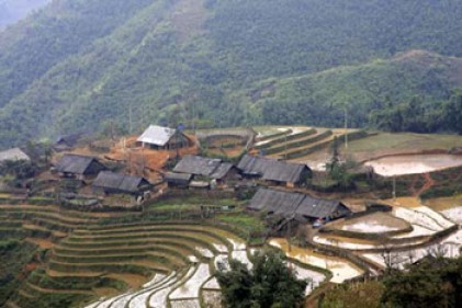 Xuân về vùng tái định cư Chiềng Sơn