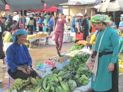 Nhiều chuyển biến trong việc hỗ trợ phụ nữ sản xuất, giảm nghèo bền vững 