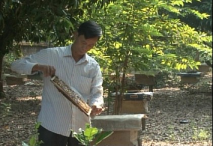 Hội NCT xã Cẩm Linh, huyện Ba Vì, TP Hà Nội: Nhiều mô hình làm kinh tế giỏi, hiệu quả cao