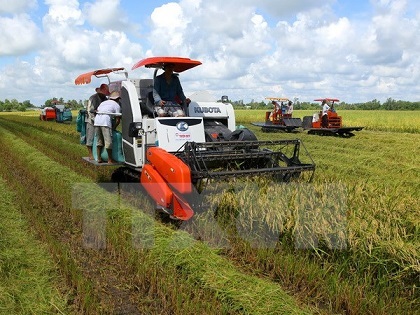 Đón làn sóng đầu tư mới vào nông nghiệp 
