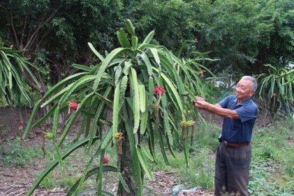 Ông Lâm Anh Lữ tuổi cao gương sáng