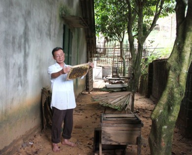 Người cao tuổi huyện Yên Sơn – Tuổi cao nêu gương sáng