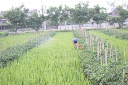 Khi người dân phát huy tinh thần làm chủ trong xây dựng nông thôn mới 