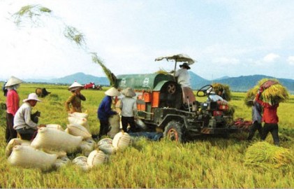 Khẩn trương xây dựng kế hoạch Chương trình nông thôn mới 2016-2020