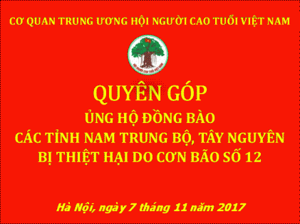 Công đoàn Cơ quan Trung ương Hội NCT Việt Nam quyên góp ủng hộ đồng bào bị thiệt hại do cơn bão số 12