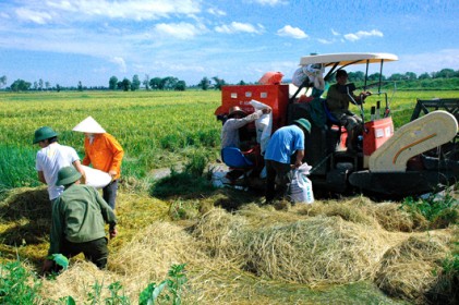 Gỡ khó để doanh nghiệp tăng cường đầu tư vào nông nghiệp 